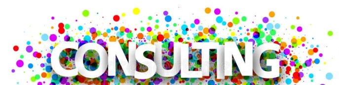 Enzani Consultants Training Consultant